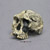 Homo habilis Skull - KNM-ER 1813
