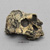 Australopithecus boisei Skull - KNM-ER 406