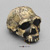 Homo ergaster Skull - KNM-ER 3733
