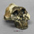 Australopithecus boisei Skull - OH 5, (Zinjanthropus)