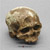 Cro-Magnon-1 Skull