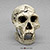 Dmanisi Homo erectus Skull