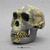 Homo habilis KNM-ER 1813 Sawyer/Deak Reconstruction