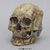 Kennewick Man Skull BH-047 Kennewick Man Skull BH-047