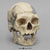 H. sapiens Oase Skull With Reconstruction BH-049 H. sapiens Oase Skull With Reconstruction BH-049