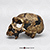 Homo neanderthalensis Shanidar 5 Cranium BH-051