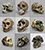 Set of 9 Fossil Hominid Skulls