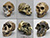 Fossil Hominid Skull Set of 6