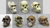 Set of 7 Primate Skulls