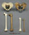Neanderthal and Modern Homo sapiens Comparative Set