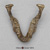 Australopithecus afarensis, "Lucy", Jaw