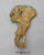 Australopithecus afarensis, "Lucy", Innominate