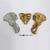 Australopithecus afarensis Lucy Pelvis Disarticulated KO-036-PD