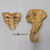 Australopithecus afarensis, "Lucy"- innominate & sacrum