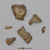 Australopithecus afarensis, lucy, cranium fragments