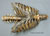 Neanderthal Thorax Assembly Reconstruction