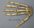 Neanderthal Hand Reconstruction