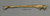 Neanderthal Ulna Reconstruction