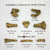 Australopithecus anamensis Cranial and Postcranial Set