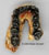 Homo habilis OH 7 Jaw