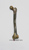 Homo erectus KNM-ER 1481 Femur KO-211