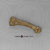 Australopithecus afarensis A.L. 333-160 AL 333-160 Metatarsal KO-393-MET Australopithecus afarensis A.L. 333-160 AL 333-160 Metatarsal KO-393-MET