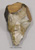 Banded Flint Hand-Axe Replica