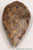 Bi-facial Hand-Axe