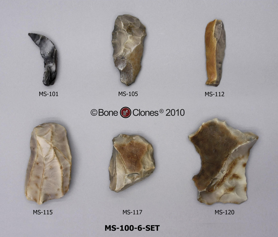 Neanderthals+tools