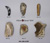 Set of 6 Neanderthal Mousterian Tools