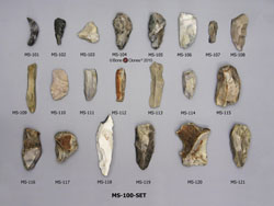 Neanderthals+tools
