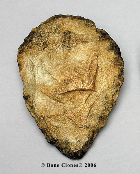 fossil latin singles More than 140 children were ritually killed in a single event in peru more than 500 years ago been recorded in colonial-era spanish chronicles and documented treasure trove of fossil human footprints is vanishing. fossil latin singles More than 140 children were ritually killed in a single event in peru more than 500 years ago been recorded in colonial-era spanish chronicles and documented treasure trove of fossil human footprints is vanishing.