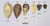 Fossil Hominid Tools