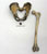 Homo ergaster pelvis and femur - KNM-WT 15000
