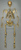 Disarticulated Neanderthal Skeleton