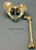 Neanderthal Pelvis Femur Reconstruction