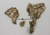 Ardipithecus ramidus Disarticulated Pelvis