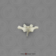 Mandrill Baboon Thoracic vertebra, Single