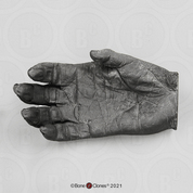 Gorilla Hand, male, right (Life Cast)