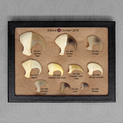 Set of 10 Cat Claws in Riker Box Set of 10 Cat Claws in Riker Box