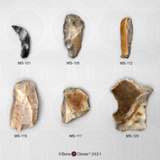 Set of 6 Neanderthal Mousterian Industry Tools Set of 6 Neanderthal Mousterian Industry Tools