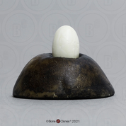 Ruby-throated Hummingbird Egg Ruby-throated Hummingbird Egg
