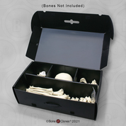 Plastic Carrying Case for Human Skeleton or Multiple Skulls Plastic Carrying Case for Human Skeleton or Multiple Skulls