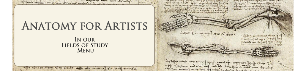 Anatomy for the Artist Anatomy for the Artist