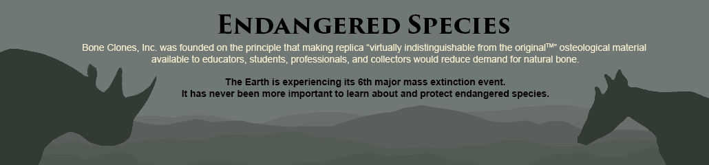 Endangered Species Endangered Species