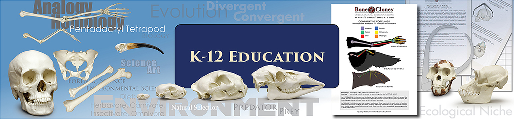 K-12 Education K-12 Education