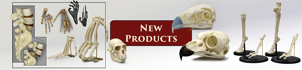 New Products New Products