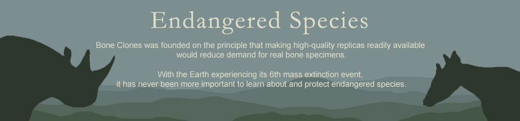 Endangered Species Endangered Species